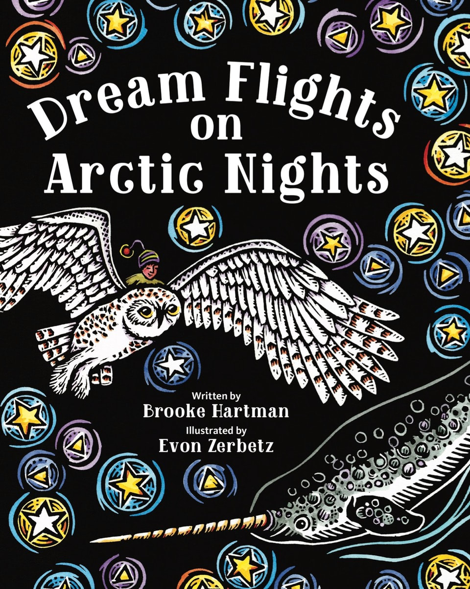 Dream Flights on Arctic Nights Book